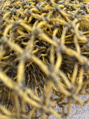 Fashion nature background. Elements on the sea beach.