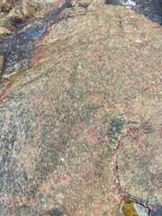 aerial view of the road