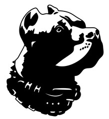Pitbull isolated illustration. Dog head. Pet.