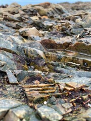 Original texture or background with sea stone