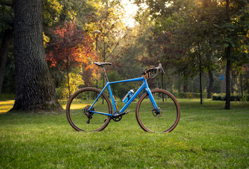 Gravel bicycle in the park at sunny autumn day. Sport and leisure.