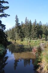 Fototapeta na wymiar Calm Creek, Whitemud Park, Edmonton, Alberta