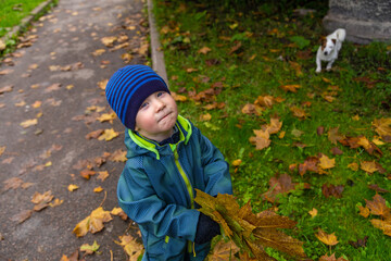 portrait of a little toddler boy with maple leaves in autumn outdoors