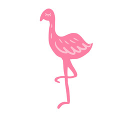 pink flamingo bird