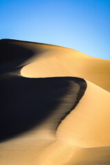 Fototapeta na wymiar sand dune in the desert
