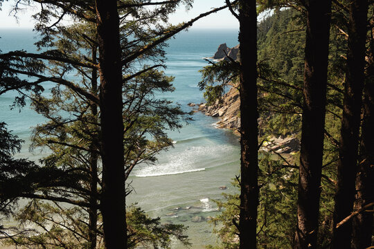 Short Sand Beach at Oswald West State Park in Oregon. 