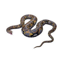 Fototapeta premium Reticulated python 3D illustration
