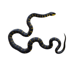 Mangrove snake 3D illustration