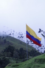 colombian fields full of happines