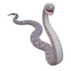 Western diamondback rattlesnake 3d illustration.