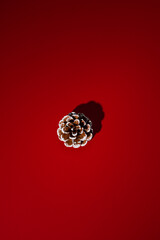 Pine cone on red background