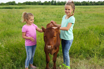 Cute little girls with calf in green field © New Africa