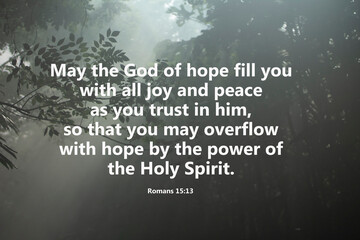 Bible verse - May the God of hope fill you with all joy and peace as you trust in him, so that you may overflow with hope by the power of the Holy Spirit. Romans 15:13 on rays in the woods background.