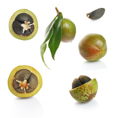 closed camellia nuts with seeds on a white background