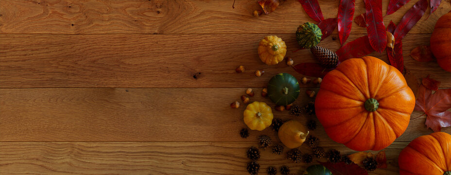 Thanksgiving frame with Pumpkins, Pine cones, Falls leaves and Berries.