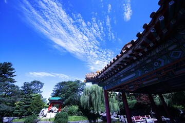 真夏の絶景中国庭園
