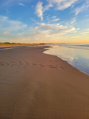 Footstep on sand at sunrise on the beach