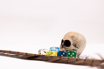 Color dices with symbols for fantasy games and a skull and feather