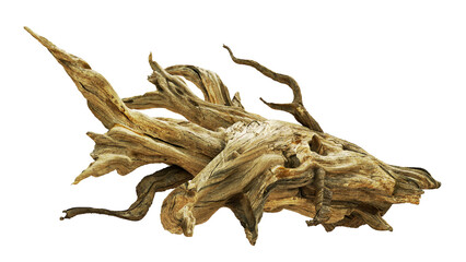 driftwood, beautiful aged wood, isolated 