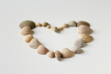 Defocus heart made of sea shells lying on a beach white summer background. Suggesting sea concept. Overhead view. Valentines Day background. Out of focus