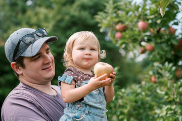 A dad and his toddler pick apples from a tree at an apple orchard