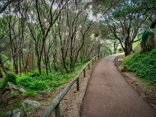 This small coastal village is famous for its dramatic rocky seascapes, superb surf breaks, bright white sands and thriving art scene.