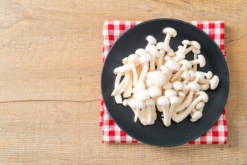 white beech mushroom or white reishi mushroom