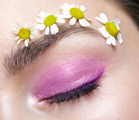 Closeup macro shot of human female eye with pink eyes shadows