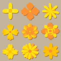 Foto auf Acrylglas Icon set of flower, summer flower, spring flowers illustration vector design © imtde.sign