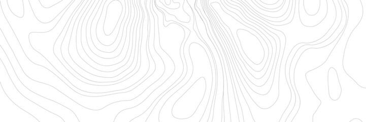 Topography map background. Grid map. Contour. Vector illustration. Geography scheme.
