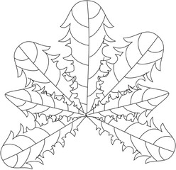 Taraxacum officinale dandelion leaf vector icon black and white
