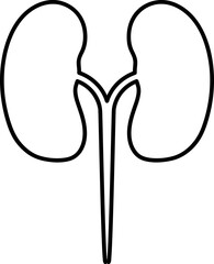 kidney icon. kidney vector design. sign design. black color.eps