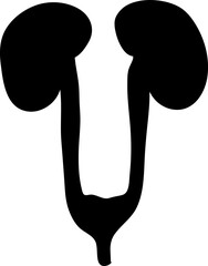 kidney icon. kidney vector design. sign design..eps