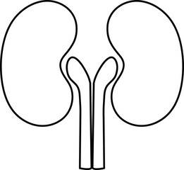 Kidneys icon. Vector. Flat design on white background..eps