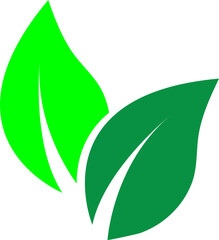 green leaf icon