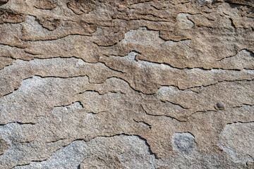 Abstract layered patterns on a rock surface at Castle Rocks State Park, Idaho, USA