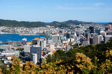 Fototapeta premium The sprawling capital city of Wellington, New Zealand Aotearoa with inner city office blocks, residential housing on the hills surrounding the city