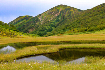 Fototapeta na wymiar 火打山　高谷池湿原からの風景