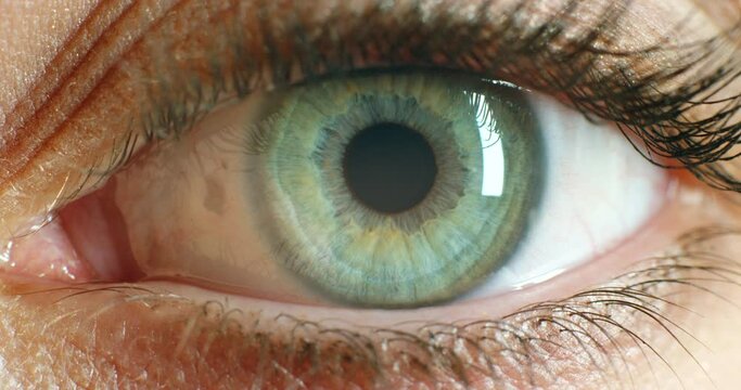 Zoom closeup of eye, biometric innovation for digital security or protection of building with iris scan technology. Macro of eyeball for optometrist test of wellness of vision and muscle health