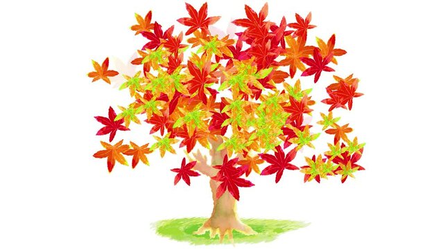watercolor Japanese maple tree animation