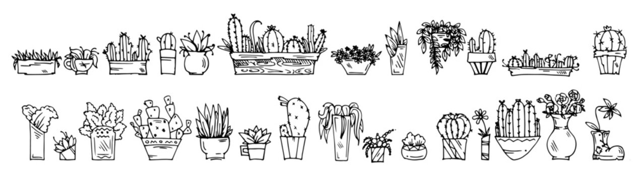 Set of cacti in pots and boxes. Prickly indoor flowers. Outline hand drawn sketch. Drawing with ink. Isolated on white background. Vector.