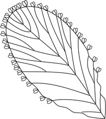 Kalanchoe pinnata bryophyllum leaf vector icon black and white
