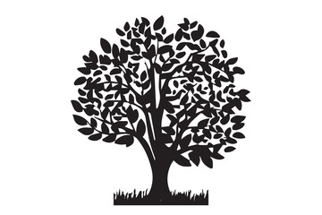 Obraz premium Tree silhouettes - red maple ,sugar maple, oak, poplar, green oak, birch