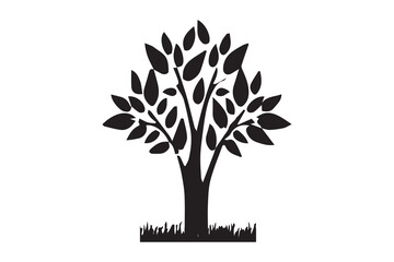 Tree silhouettes - red maple ,sugar maple, oak, poplar, green oak, birch