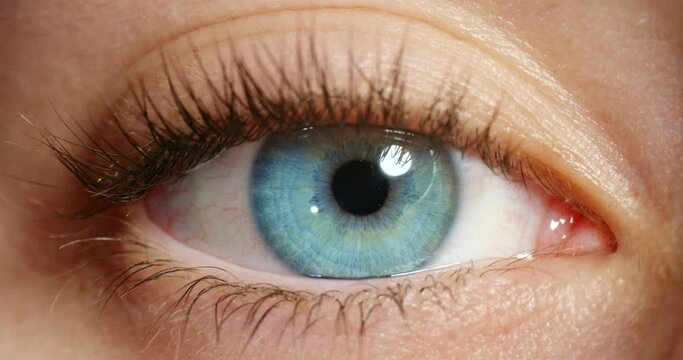 Human eye, vision and dilated pupils of beautiful woman with natural blue iris color with long eyelashes. Macro zoom of an awake female with optical eyesight for eyecare, drug or mydriasis awareness
