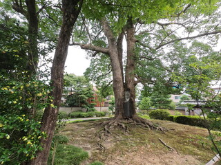 彦三緑地、金沢