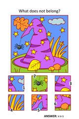 Visual puzzle with picture fragments. Halloween witch hat. What does not belong?
