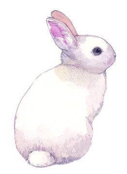 うさぎの水彩イラスト（背景透過版）