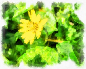 yellow flower watercolor style illustration impressionist painting.