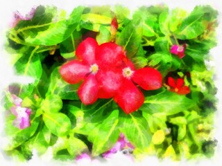 red flower watercolor style illustration impressionist painting.
